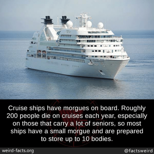 Cruise Ship Morgue