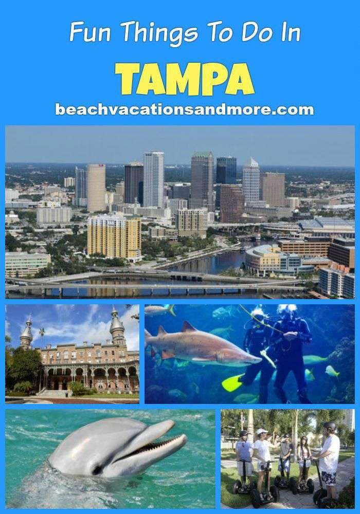 Top fun things to do in Tampa, Florida on vacation ...